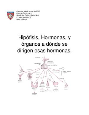 Biología Hipófisis Y Hormonas Samantha Castro Rajbe (1) (1)