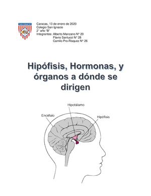 Alberto Manzano, Camilo Pro Risquez, Flavio Santucci Hipófisis