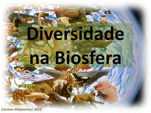 Diversidade Na Biosfera