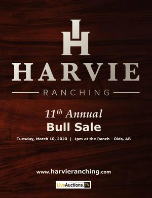 Harvie Ranching Bull Sale 2020