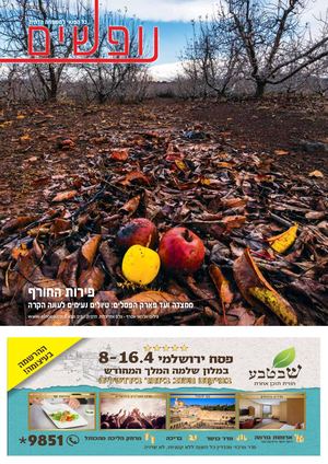 נופשים גיליון 186 | המהדורה הדיגיטלית | לפני כולם