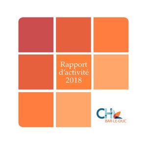 Rapport Activité Chbld 2018