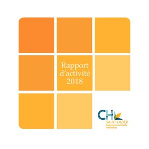 Rapport D'activité Chsd 2018