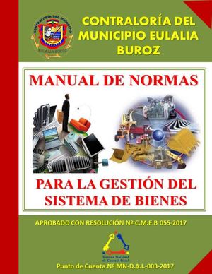 Manual De Normas De Bienes Públicos