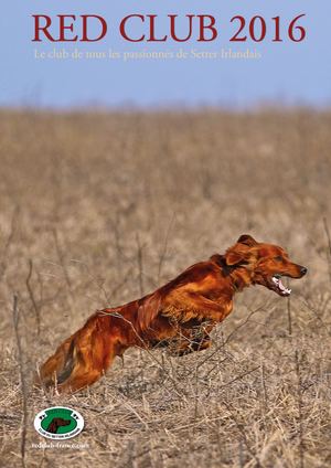 Revue Red Club Année 2016