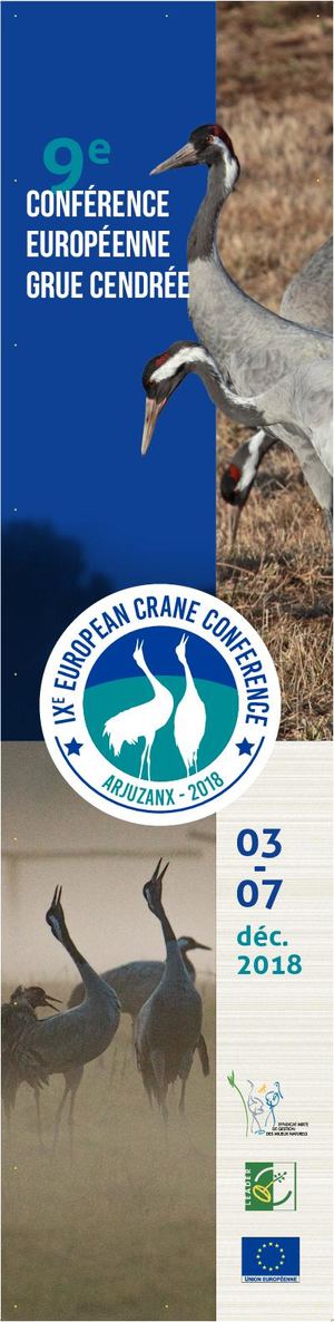 Arjuzanx : conférence grues cendrées