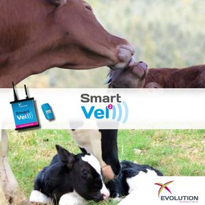 Brochure Smartvel2 Evolution