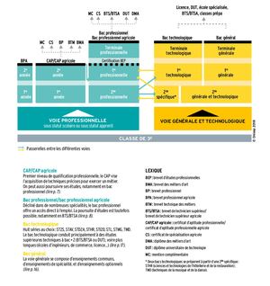 Schema Des Etudes Apres La 3e