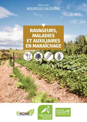 Guide du maraîchage - 2020
