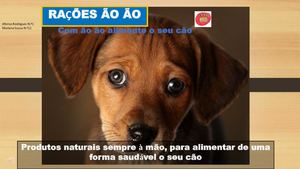 Anúncios Publicitários 6ºb