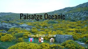 Paisatge Oceanic