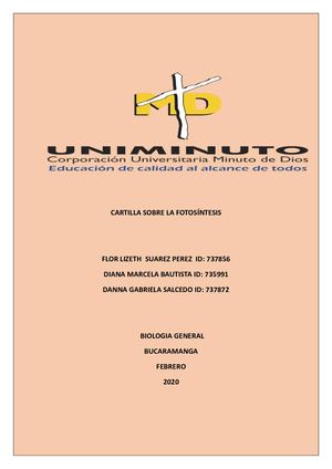 Cartilla sobre la fotosíntesis para los niños