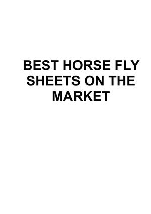 In-depth Reviews of Top 5 Best Fly Sheet For Horses