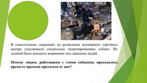 Викторина "Что?Где?Когда?"