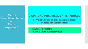 Option Maths expertes ou Maths complémentaires