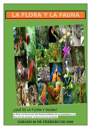 Revista Flora Y Fauna