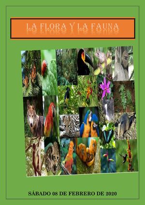 Revista Flora Y Fauna