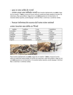 Que Es Una Selda De Word (1)