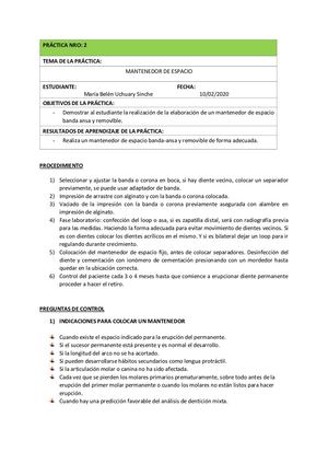 Práctica Mantenedor Docx