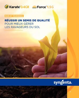 Réussir un semis de qualité pour mieux gérer les ravageurs du sol