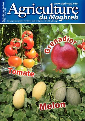 125 Agriculture Du Maghreb Février 2020