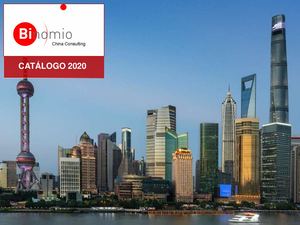 Binomio China Consulting