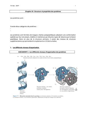 Poly Chap Iii 2019 20