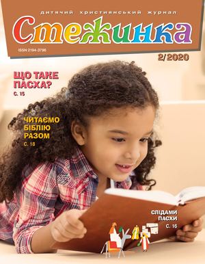 Стежинка 2020.2