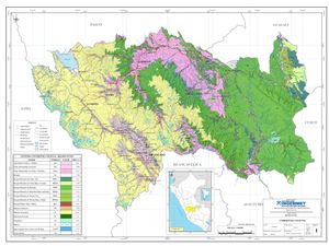 Mapa 1 Cobertura Vegetal Junín