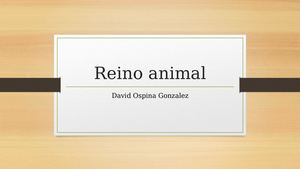 Reino Animal Power Point