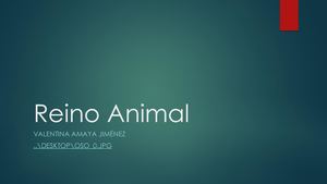 Valentina Reino Animal