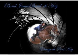 BOND JAMESBOND DE HAY - Flyer 2020