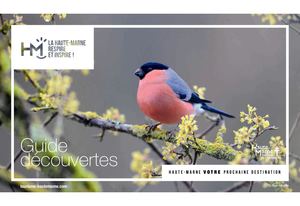 Guide Decouvertes Haute Marne 2020 Fr