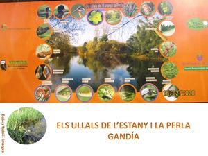 Els Ullals De L'estany I La Perla Gandía
