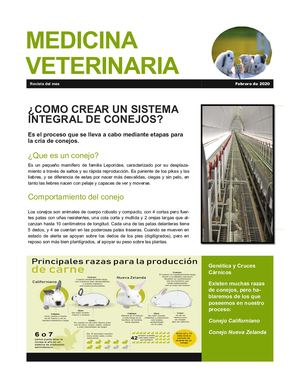 Revista Digital Para El Curso De Las Tics