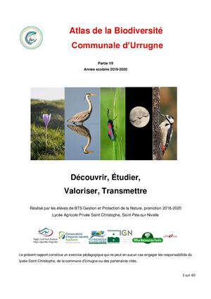 ABC Urrugne Part. VII (2020)