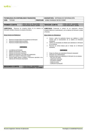 Resumen Programa Sistemas De Informacion