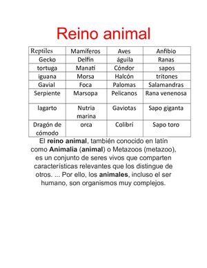 Reino Animal