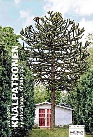 Knalpatronen / Pyrotechnies / Knallkörper - ELS MOORS