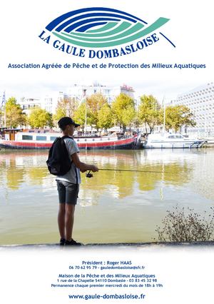 Plaquette Gaule Dombasloise