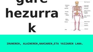 Hezurrak