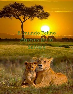 El Mundo Felino Atraves De Lo Salvaje