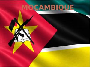 Receita Mucapata e Frango á Zambeziana