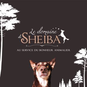 Brochure Sheiba 200220201547