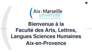 Les études de LEA à AMU