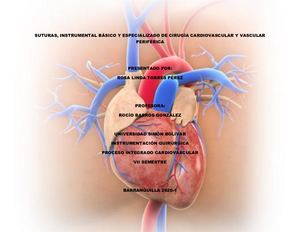 Instrumental Básico Y Especializado De Cirugía Cardiovascular Y Vascular Periférica
