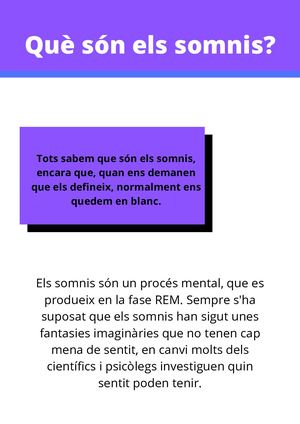 QUE SON ELS SOMNIS