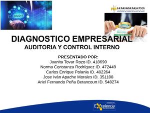 Auditoria Y Control Interno