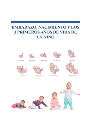 EMBARAZO, NACIMIENTO Y LOS 3 PRIMEROS AÑOS DE VIDA DE UN NIÑO
