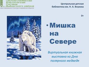 Мишка на Севере